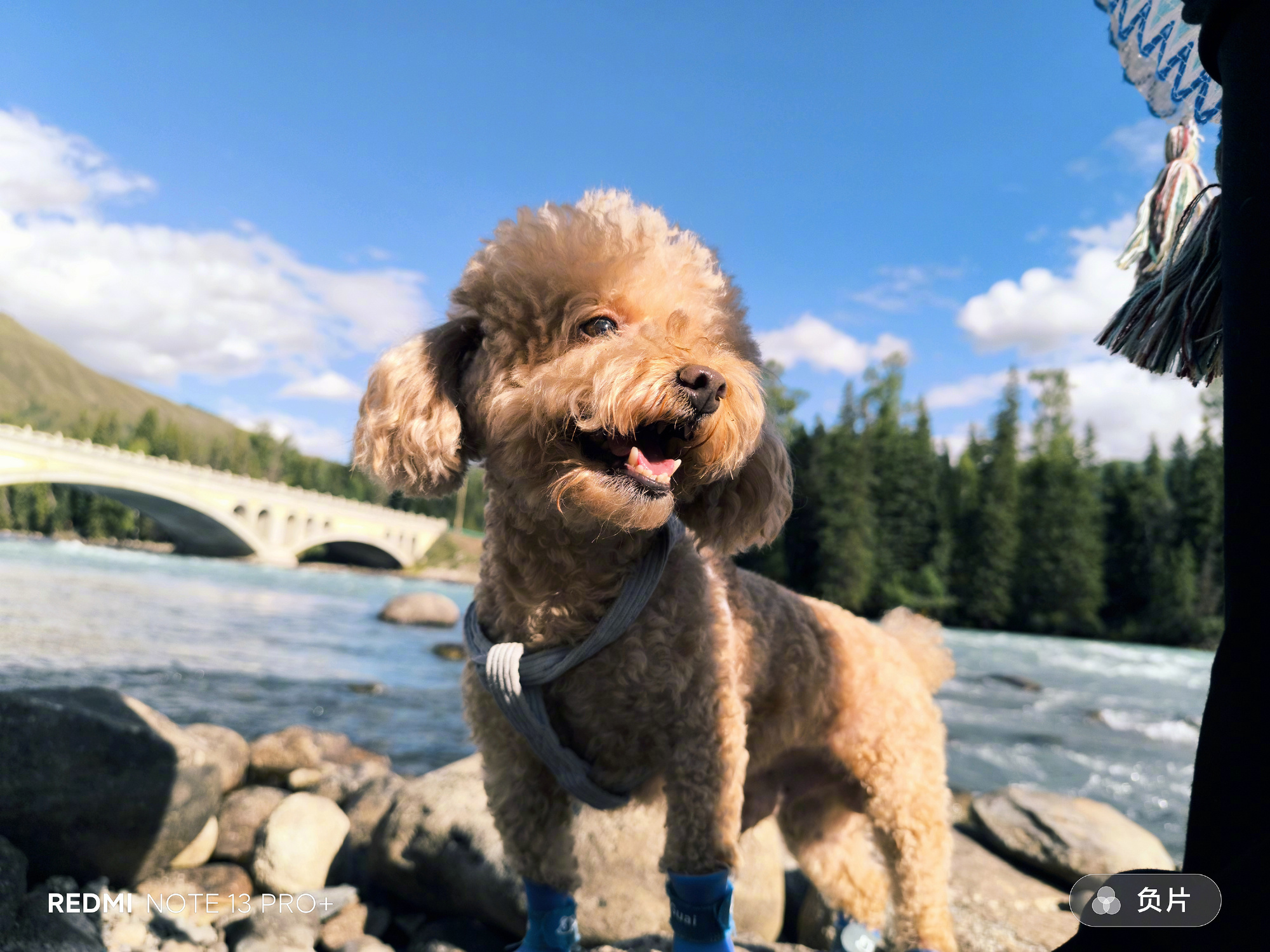 Примеры фото на 200-мегапиксельную камеру Redmi Note 13 Pro+